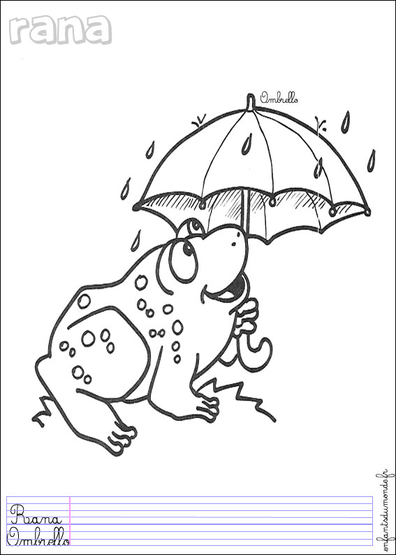 coloriage grenouille 3